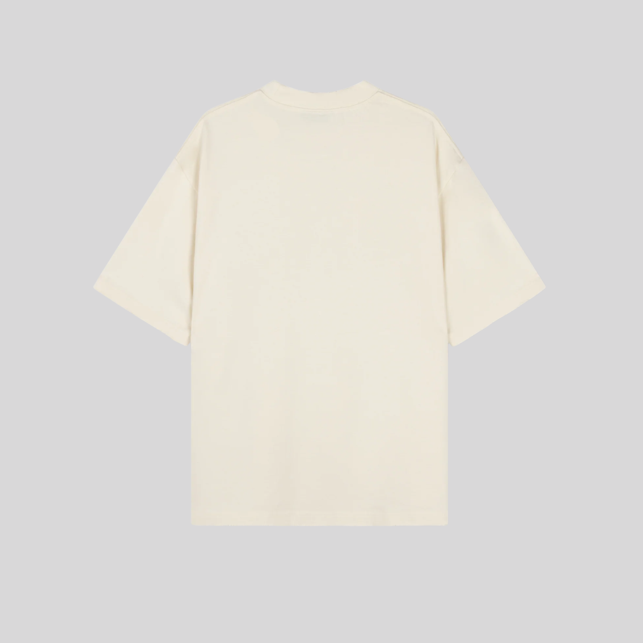 DAYDREAMS DISTRESSED TSHIRT RIVERO